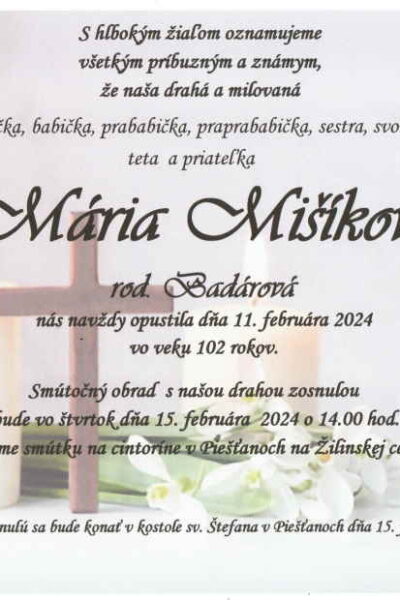 Mišíková